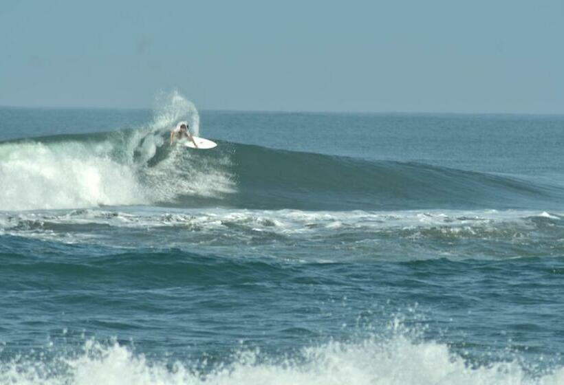 标准间, Krui Surfing