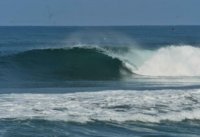 标准间, Krui Surfing