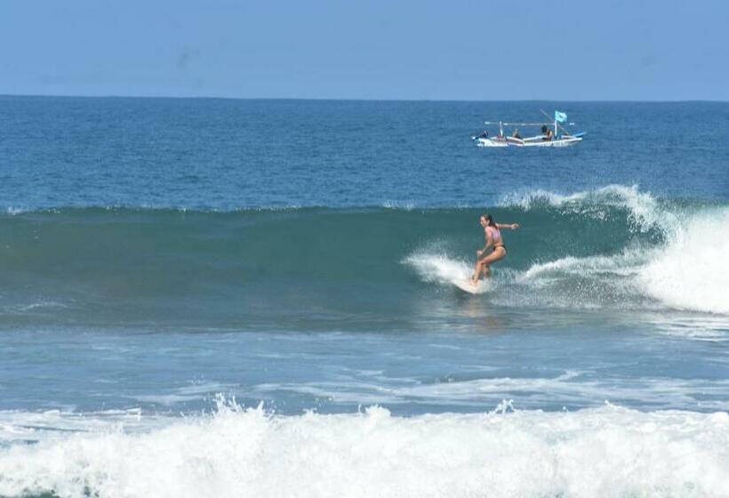 스탠다드 룸, Krui Surfing