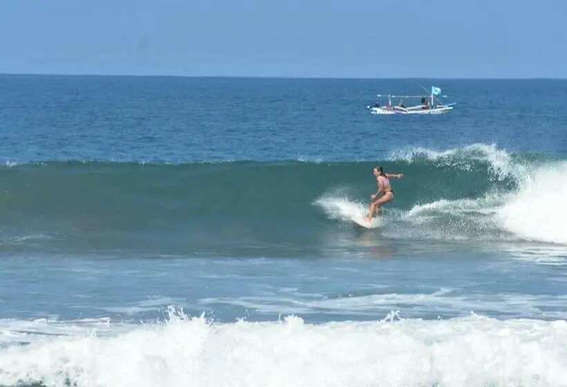 スタンダードルーム, Krui Surfing