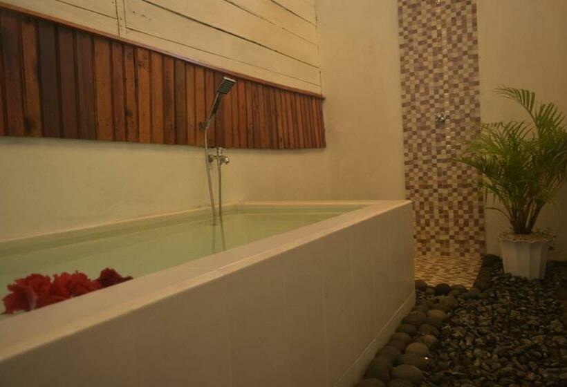 标准间, Krui Surfing