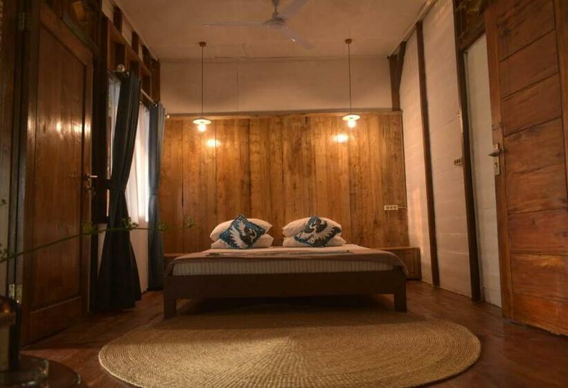 标准间, Krui Surfing