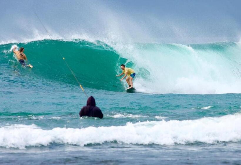 标准间, Krui Surfing