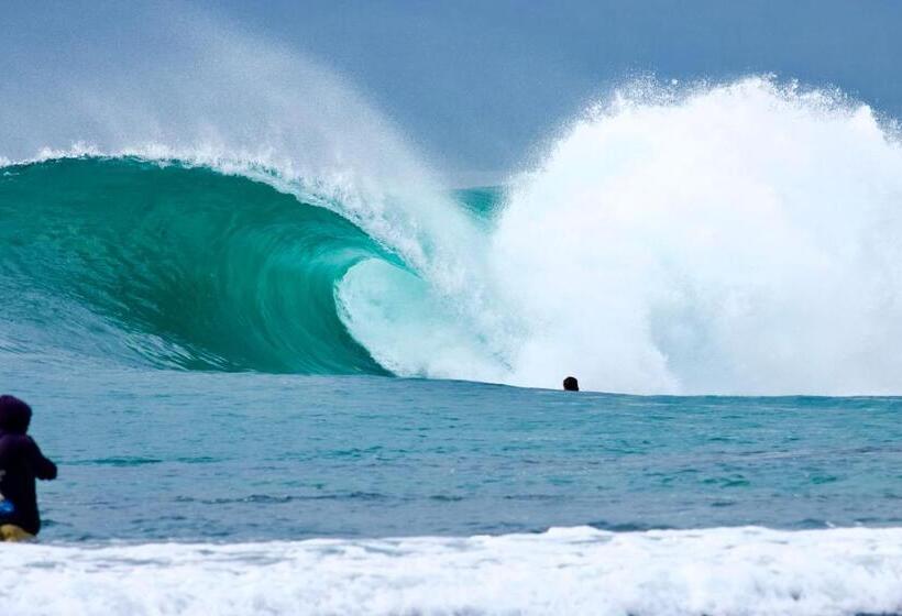 标准间, Krui Surfing