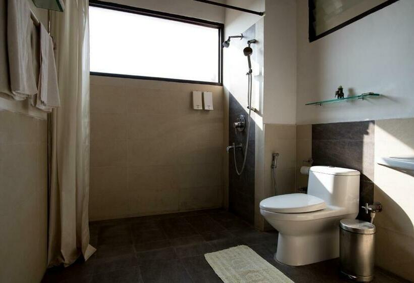 Номер Стандарт, Dhole's Den Bandipur