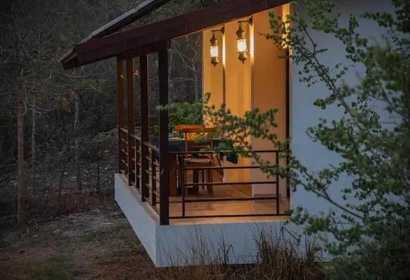 山の見えるジュニアスイート, Dhole's Den Bandipur