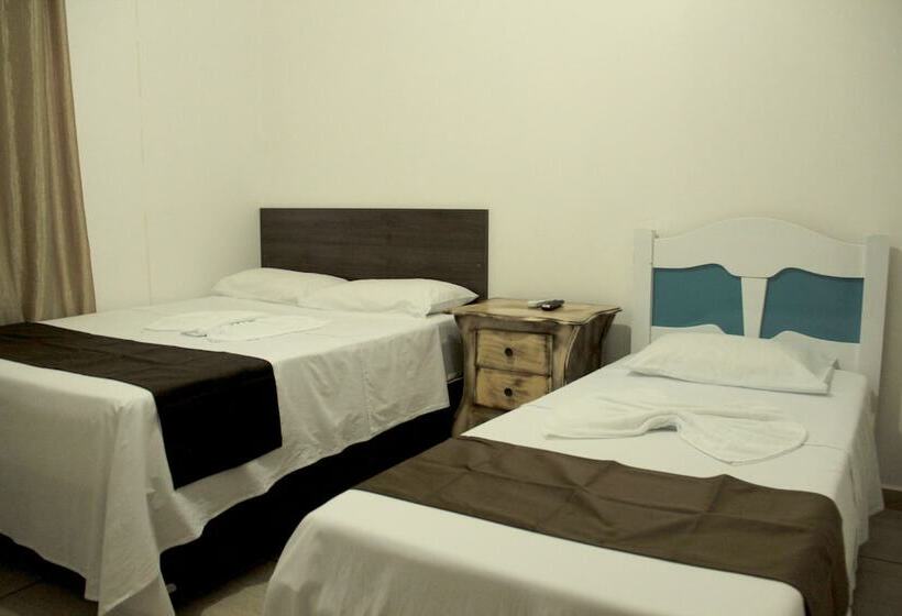 Номер Стандарт, Edinik