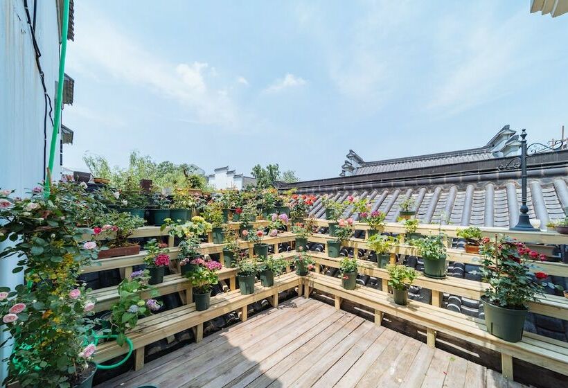 Номер Комфорт, Young Inn