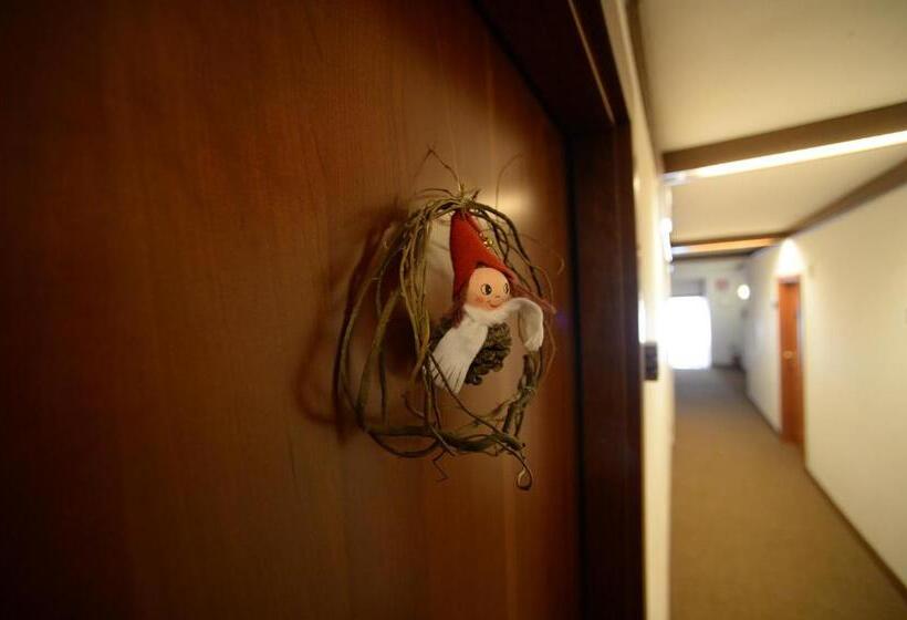 חדר אקונומי, Compet