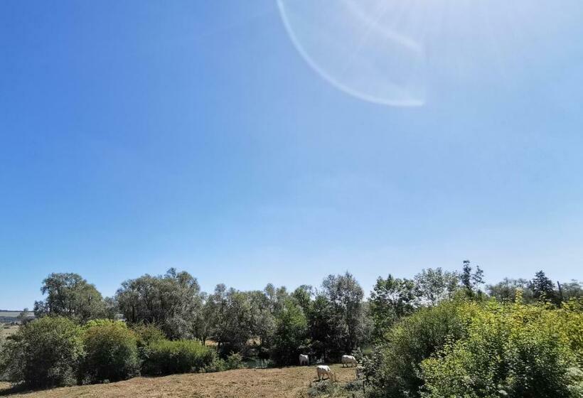 Номер Стандарт, La Table Des Bons Peres