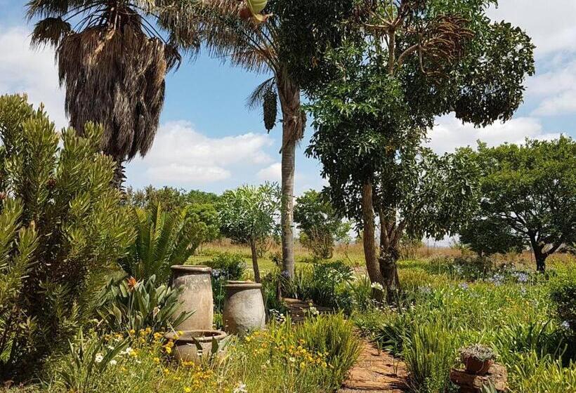 Номер Deluxe, Myaula