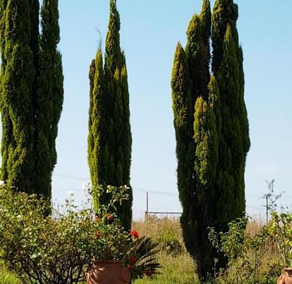 Шале 1 Спальня, Myaula