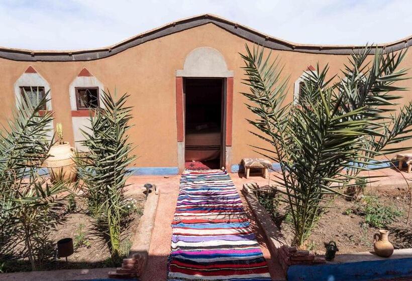 Номер Стандарт, Dar Talmoudi