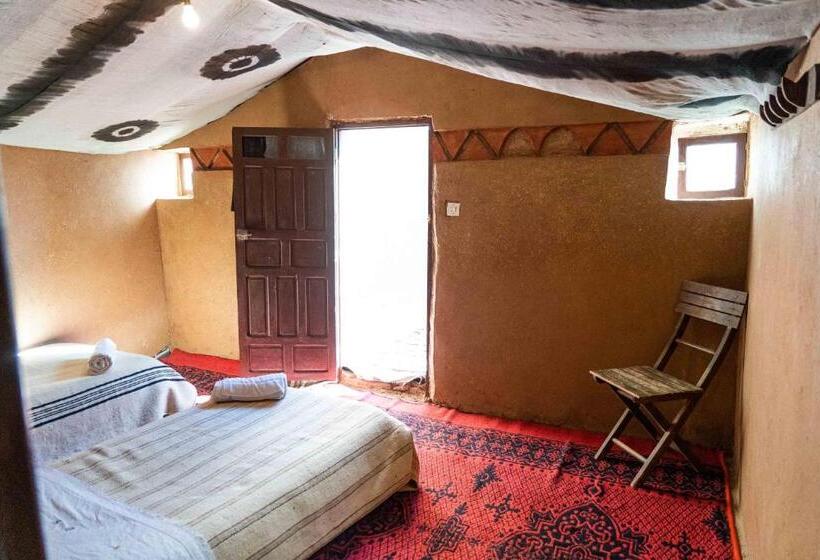 Номер Стандарт, Dar Talmoudi