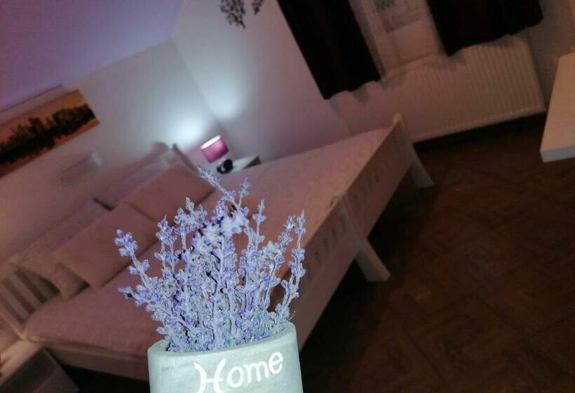 اتاق لوکس, Guest House Mačić