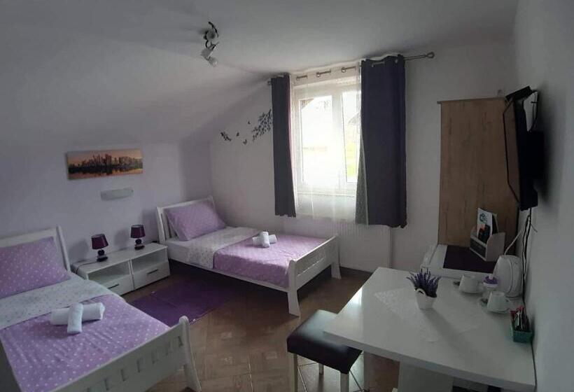 デラックスルーム, Guest House Mačić