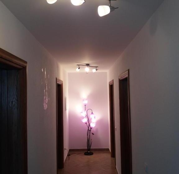 اتاق لوکس, Guest House Mačić