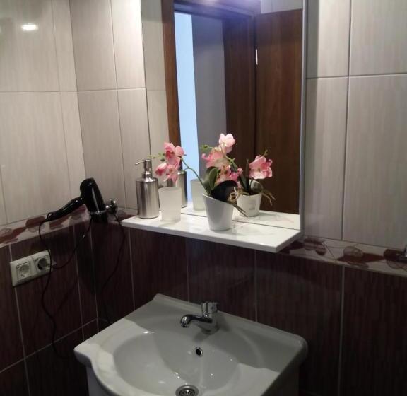 デラックスルーム, Guest House Mačić