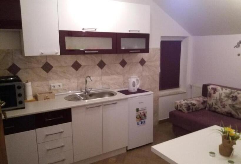 １ベッドルームアパートメント, Guest House Mačić