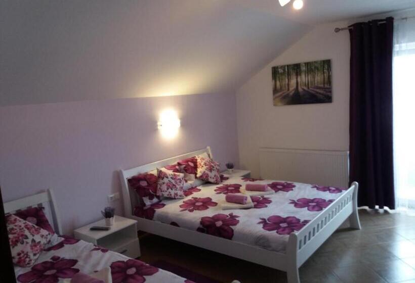 １ベッドルームアパートメント, Guest House Mačić