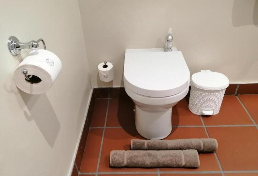 شقة غرفة واحدة, Monte Rosa Guesthouse