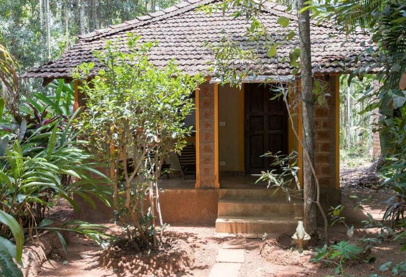 בית, חדר שינה 1, Dudhsagar Plantation