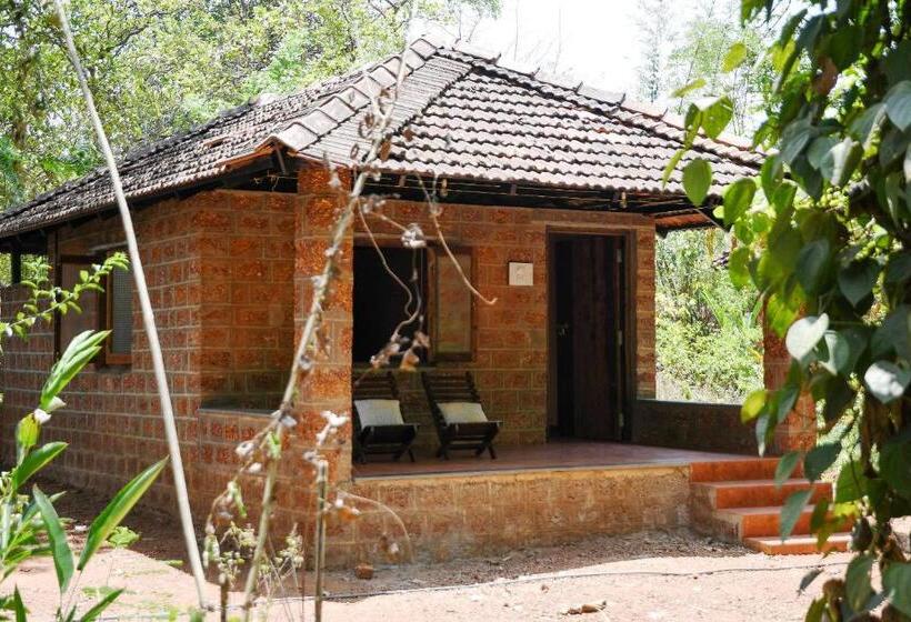 בקתה דלוקס, Dudhsagar Plantation