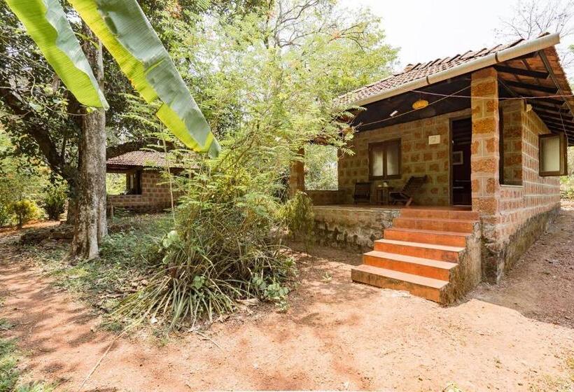 בקתה דלוקס, Dudhsagar Plantation