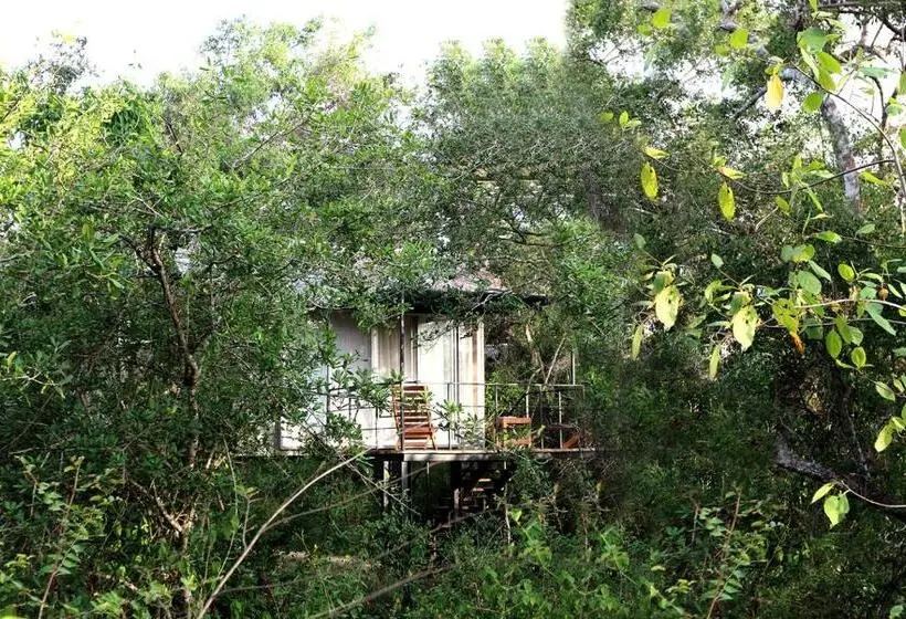 バルコニー付きデラックスルーム, The Backwaters Lodge