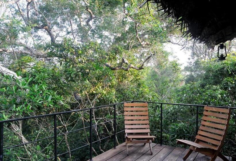 חדר דלוקס עם מרפסת, The Backwaters Lodge