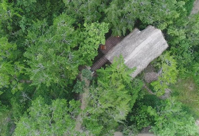 Номер Deluxe с Балконом, The Backwaters Lodge