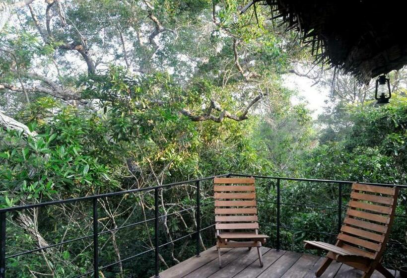 חדר סטנדרט עם מרפסת, The Backwaters Lodge