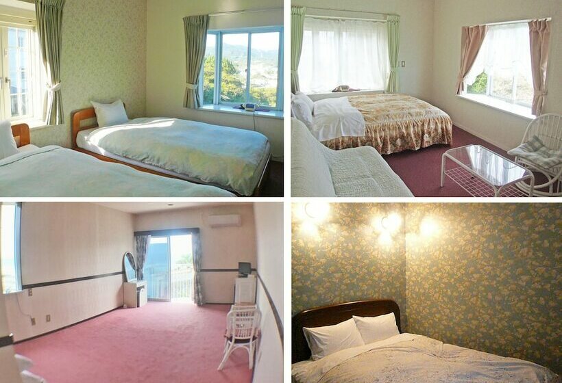 דירת חדר אקונומי, Pension A Million Roses