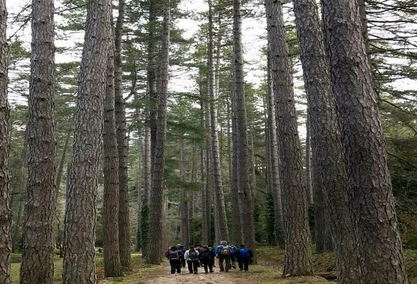 חדר סטנדרט נוף לגינה, B&b Armony Bono