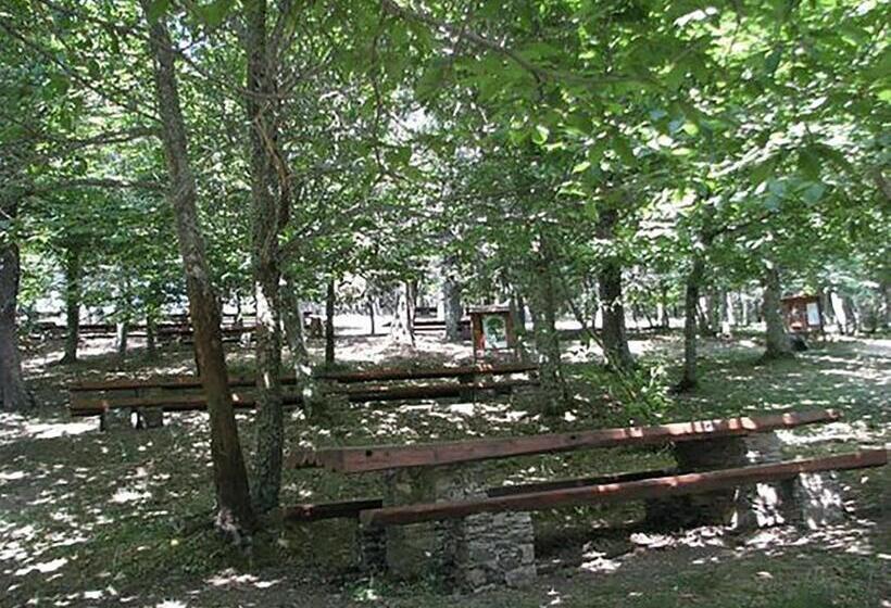 חדר סטנדרט נוף לגינה, B&b Armony Bono