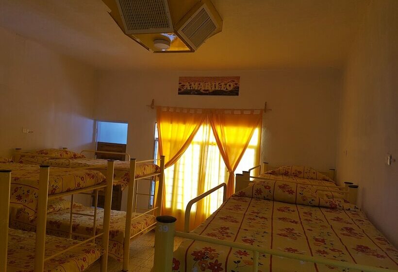 غرفة قياسية, Hostal Bustamante   Hostel