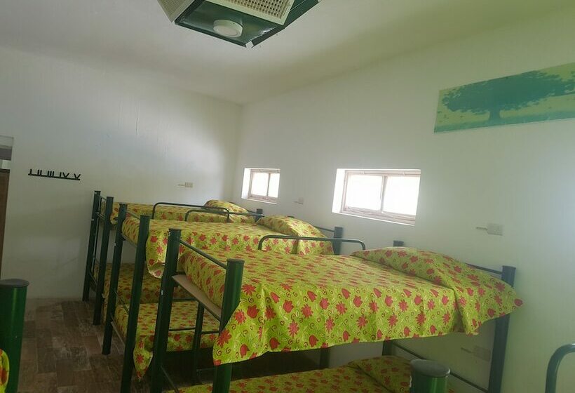 غرفة قياسية, Hostal Bustamante   Hostel