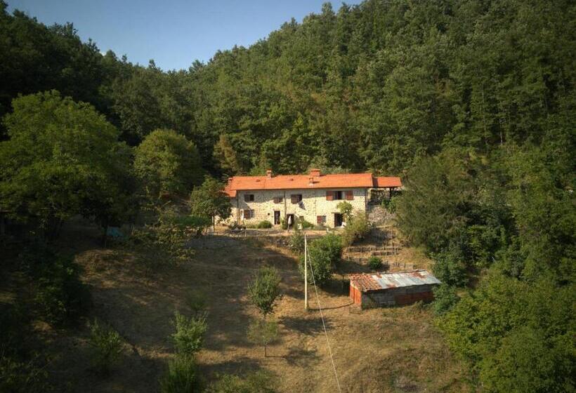 Вилла с 1 спальней и бассейном, Agriturismo Il Gufo