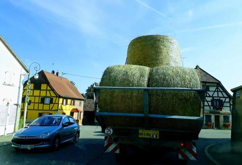 غرفة قياسية, Chambres D Hôtes Chez Loulou Et Caramel