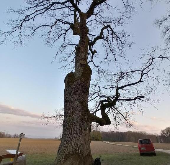 غرفة قياسية, Chambres D Hôtes Chez Loulou Et Caramel