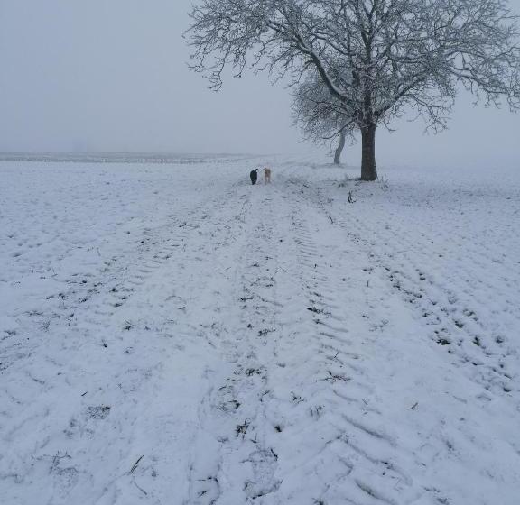 غرفة قياسية, Chambres D Hôtes Chez Loulou Et Caramel