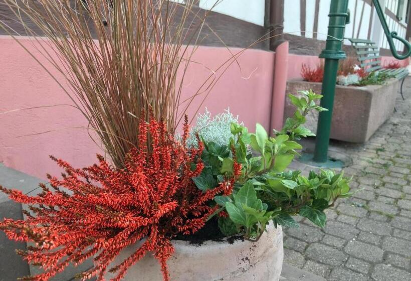 דירת חדר בקומת קרקע, Appartement T3 Aux Deux Cigognes Gries