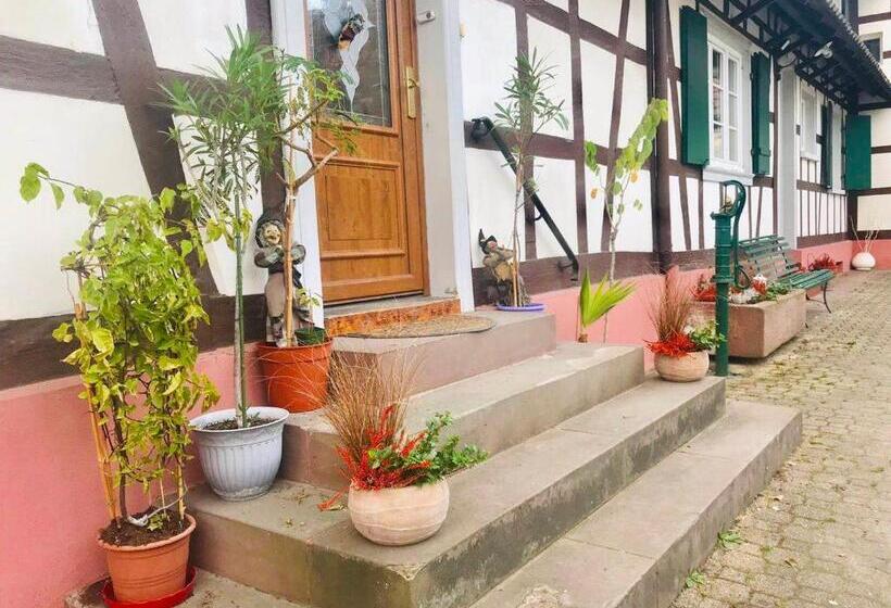 דירת חדר בקומת קרקע, Appartement T3 Aux Deux Cigognes Gries