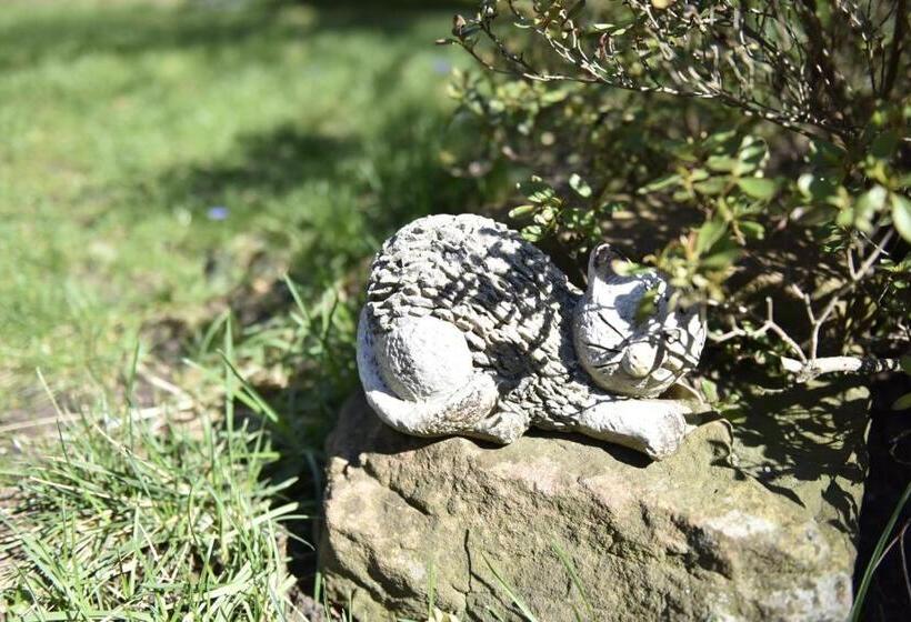 דירת חדר בקומת קרקע, Appartement T3 Aux Deux Cigognes Gries