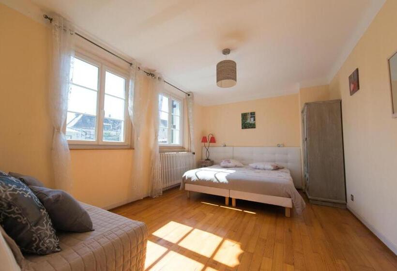 Апартаменты 1 Спальня Нижний Этаж, Appartement T3 Aux Deux Cigognes Gries