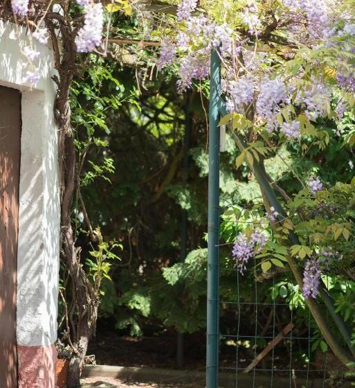 דירת חדר בקומת קרקע, Appartement T3 Aux Deux Cigognes Gries