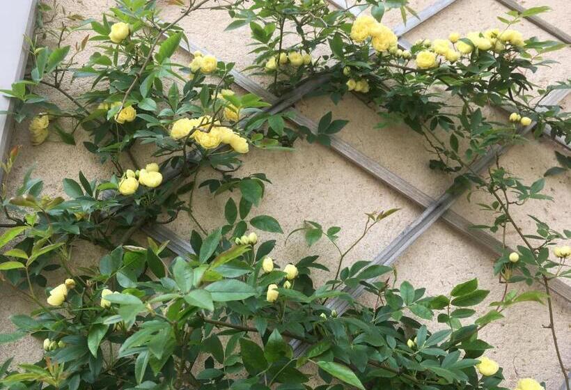 בית, חדר שינה 1, La Tramontane