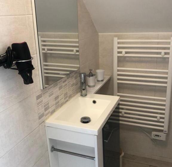 스탠다드 룸, Au Nom Des Dames, Maison Et Table D Hôtes, Près De Chenonceau Et Du Zoo De Beauval