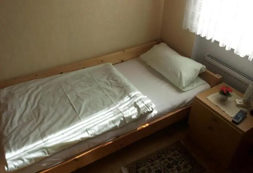 Standard Yhden Hengen Huone, Pension Loffler