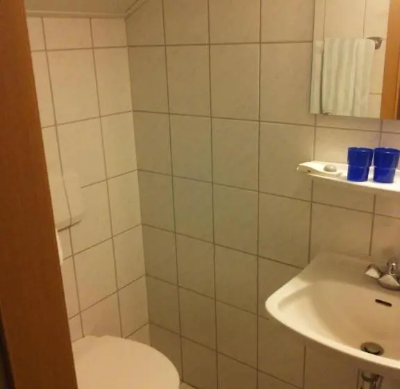 Standard-huone, Pension Loffler